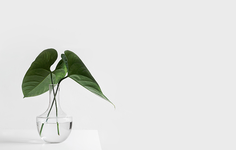 deco